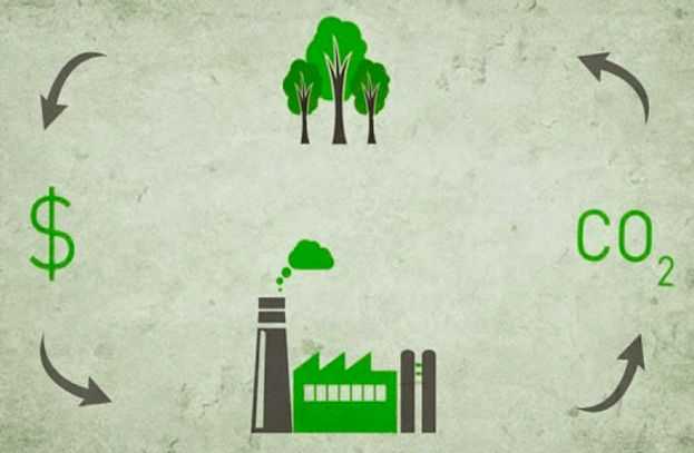 Aprobada la Ley Especial de las Transacciones de Carbono Forestal para La Justicia Climática